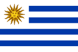 Bandera de Uruguay - Producción de video profesional en Uruguay | Agencia de Marketing