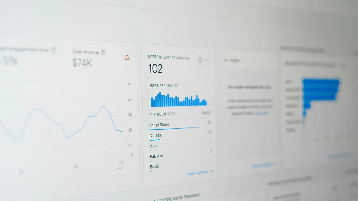 Optimización para Motores de Búsqueda (SEO) - Servicio profesional de optimización para motores de búsqueda (seo) para empresas